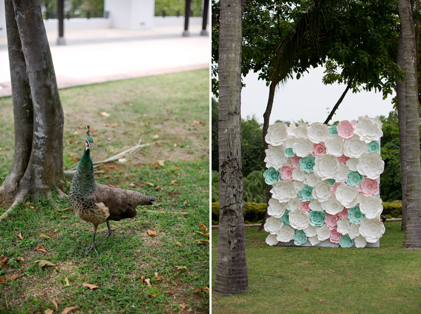 singapore prewedding 33
